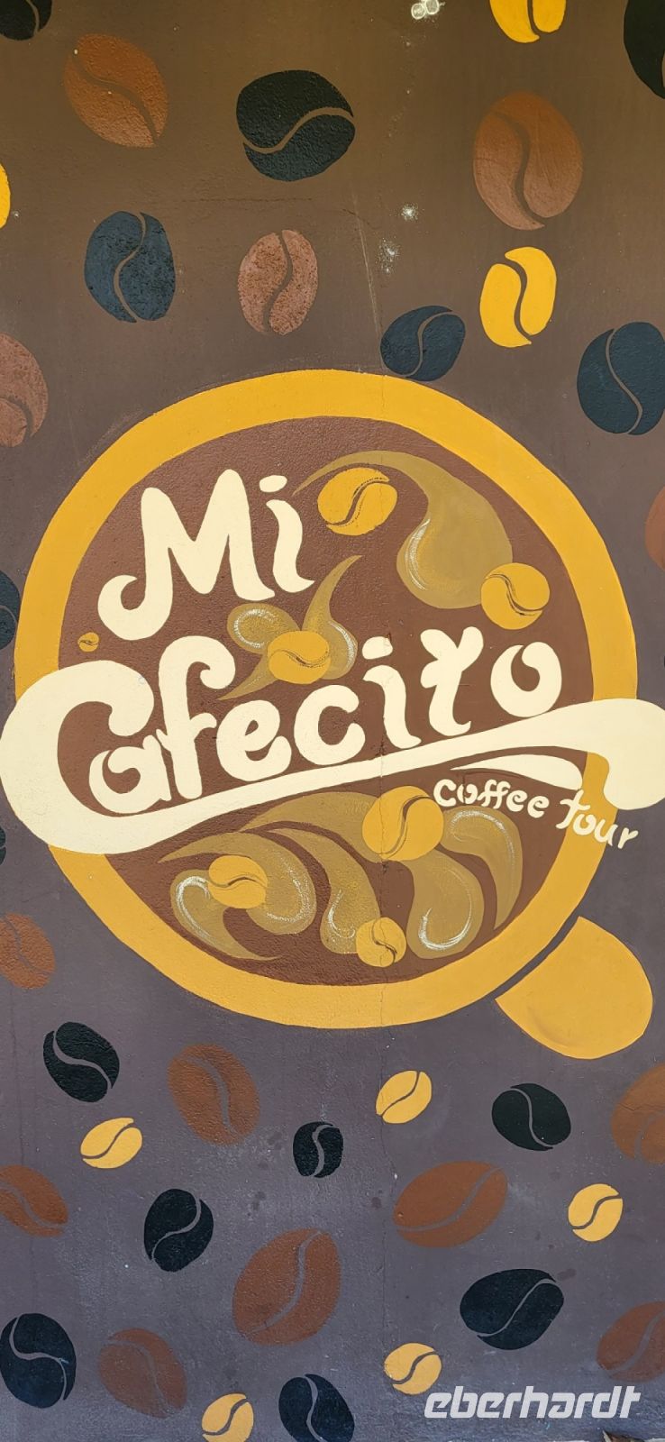 15 Besuch der Kaffee Kooperative