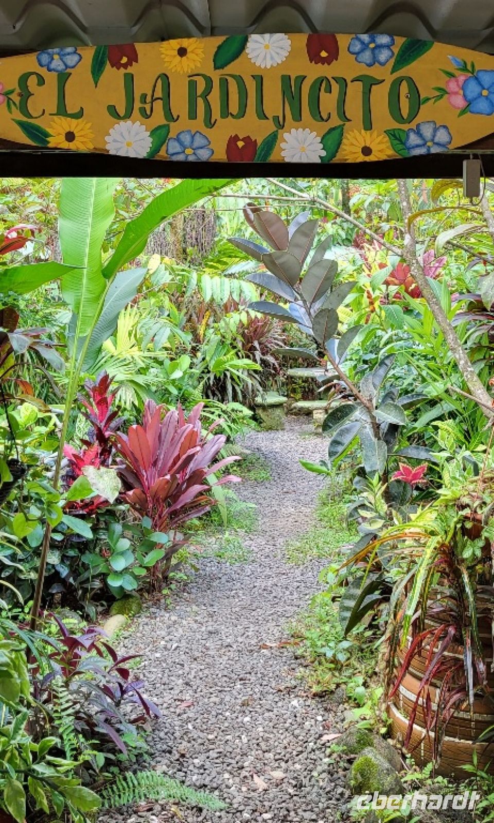 46 Mittagessen im Selva Rustica