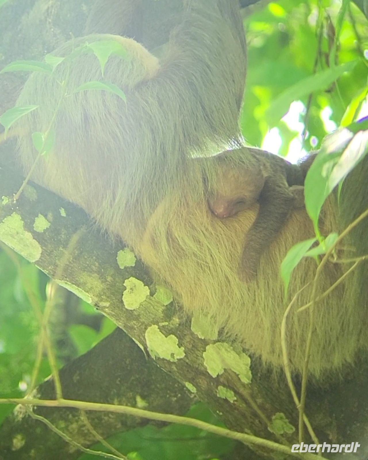 61 unglaubliche Momente