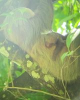 61 unglaubliche Momente