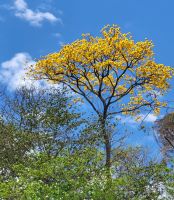 77 Herrliche Farbtupfer in der Landschaft