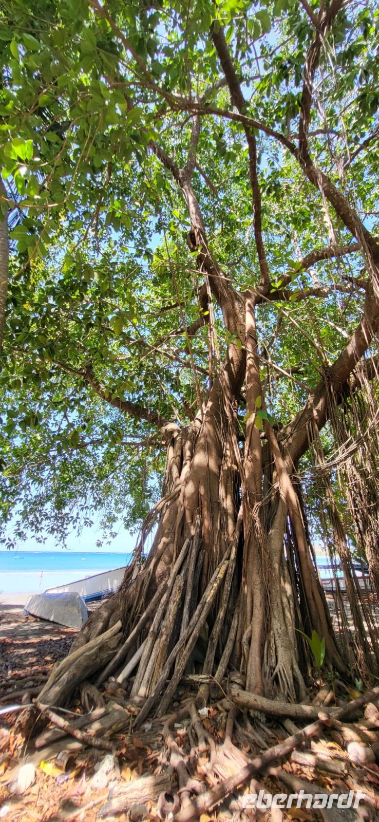 85 Strandkulisse Samara