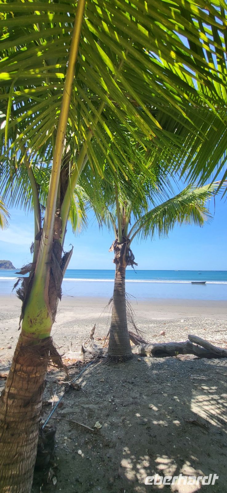 88 unsere Gäste nehmen ein Bad