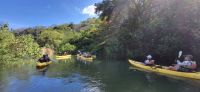 94 Kajak Tour