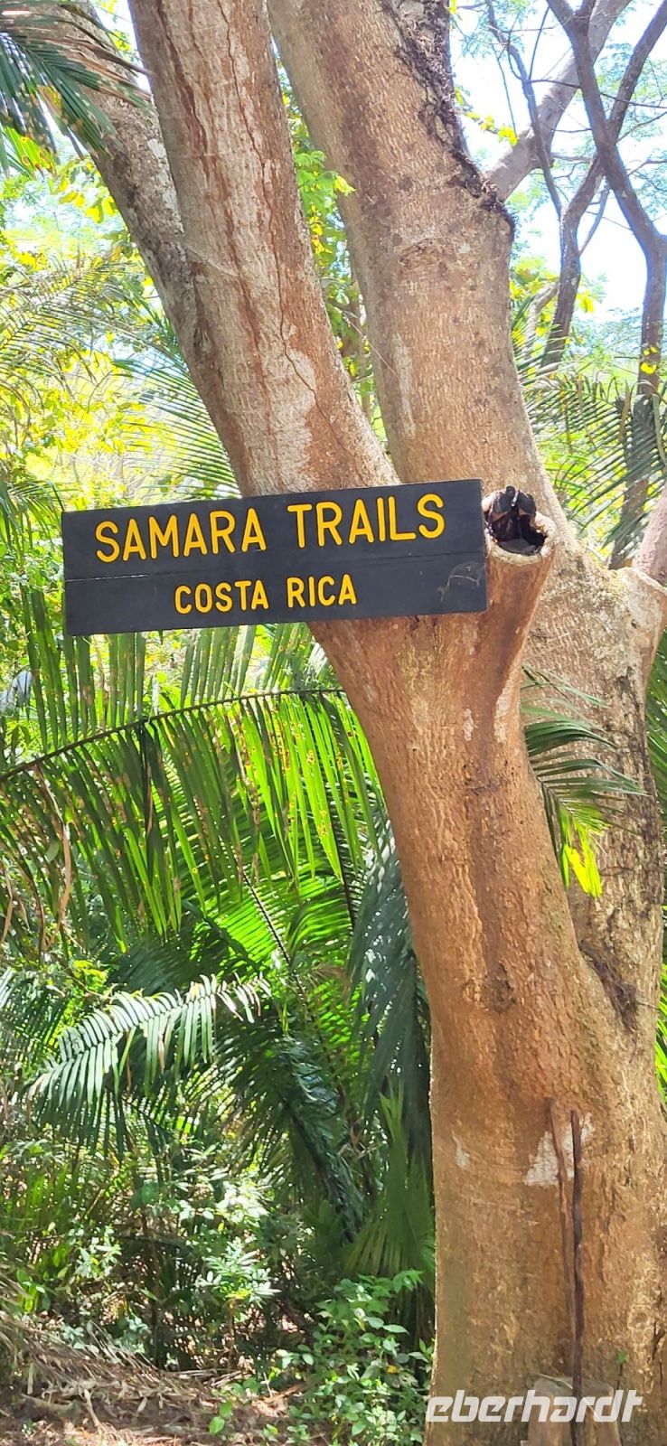 113 im Werner Sauter Biological Reserve