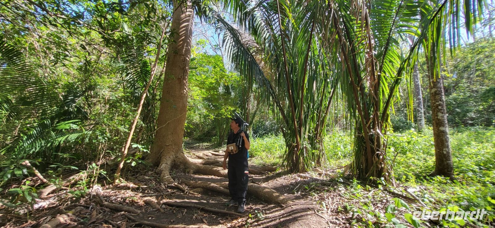 120 im Werner Sauter Biological Reserve