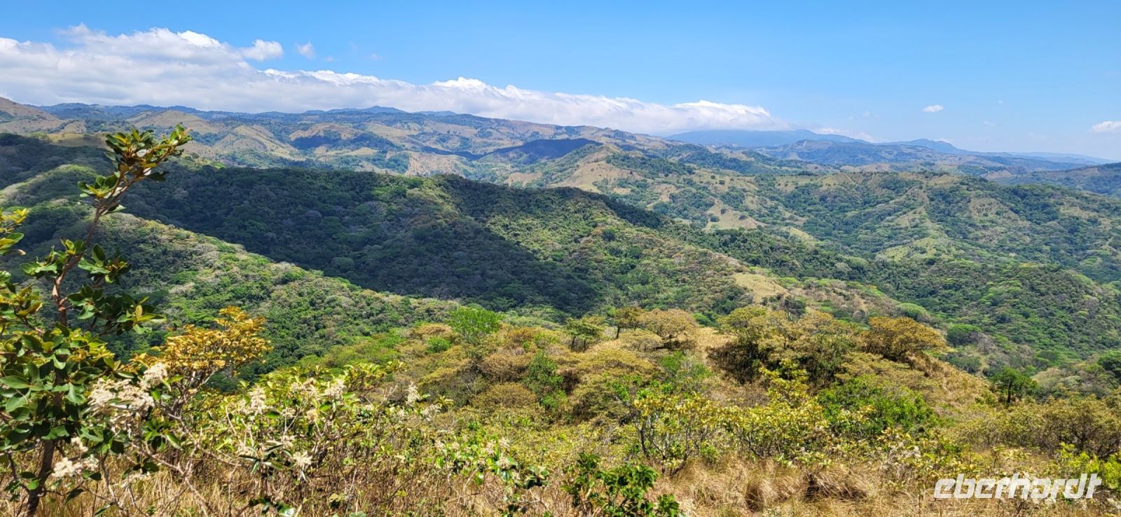 142 Kulisse Richtung Monteverde