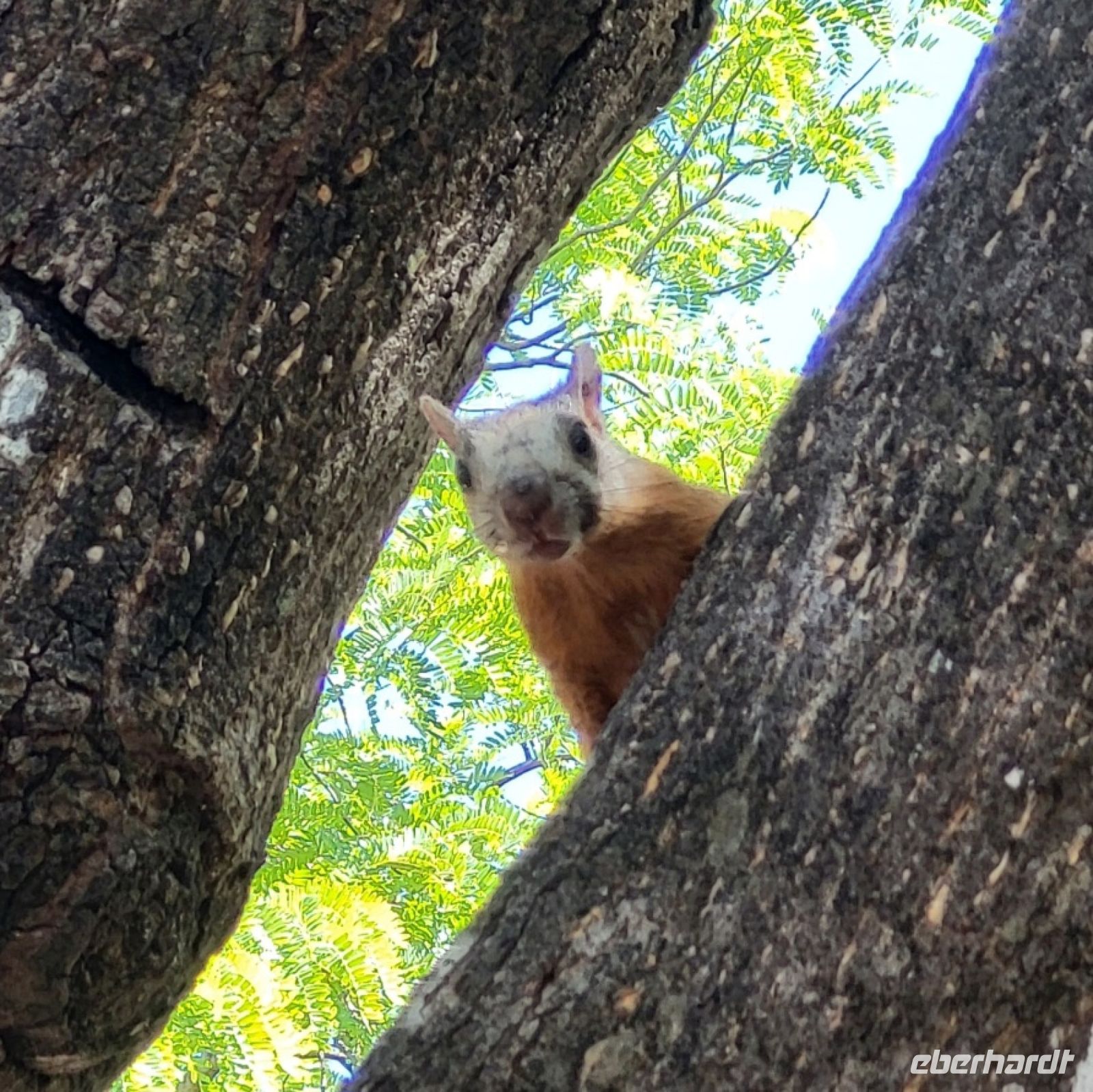 153 Hallo und wer bist du