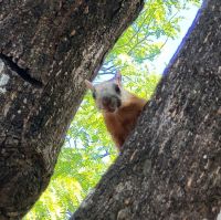 153 Hallo und wer bist du