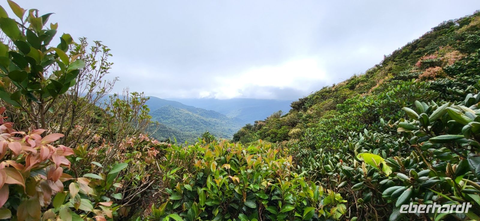 160 Ausblick auf die Karibische Seite Costa Ricas