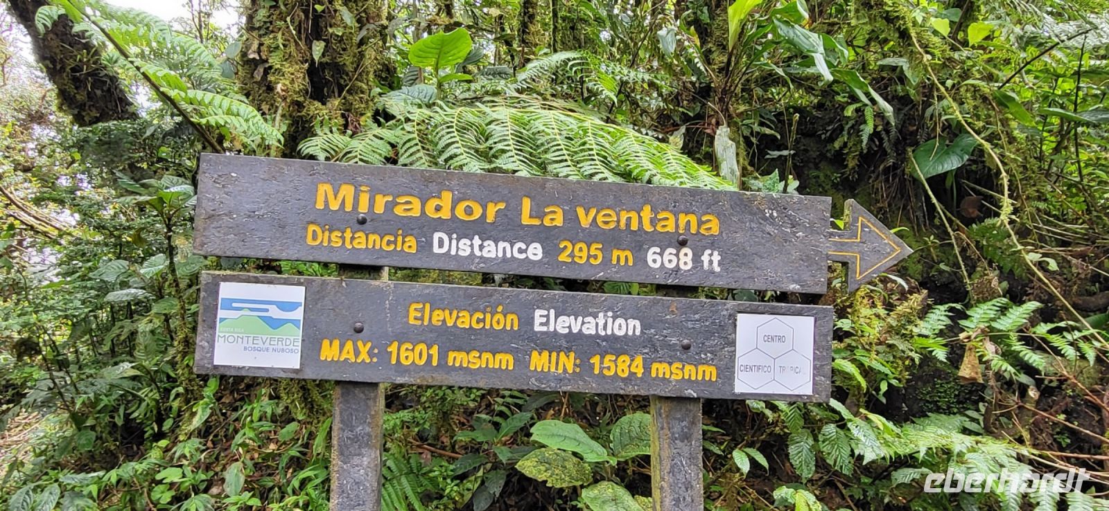 164 Wanderung durch den Nebelwald