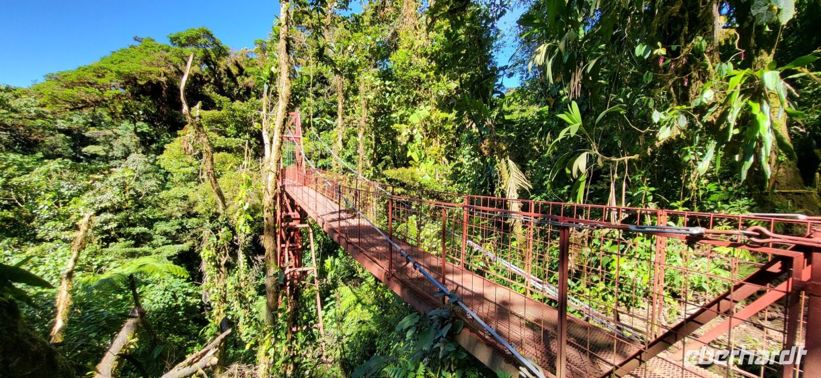 171 Hängebrückenwanderung Monte Verde