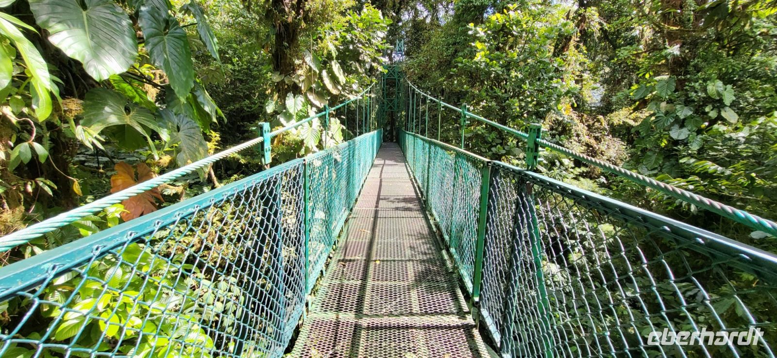 176 Hängebrückenwanderung Monte Verde