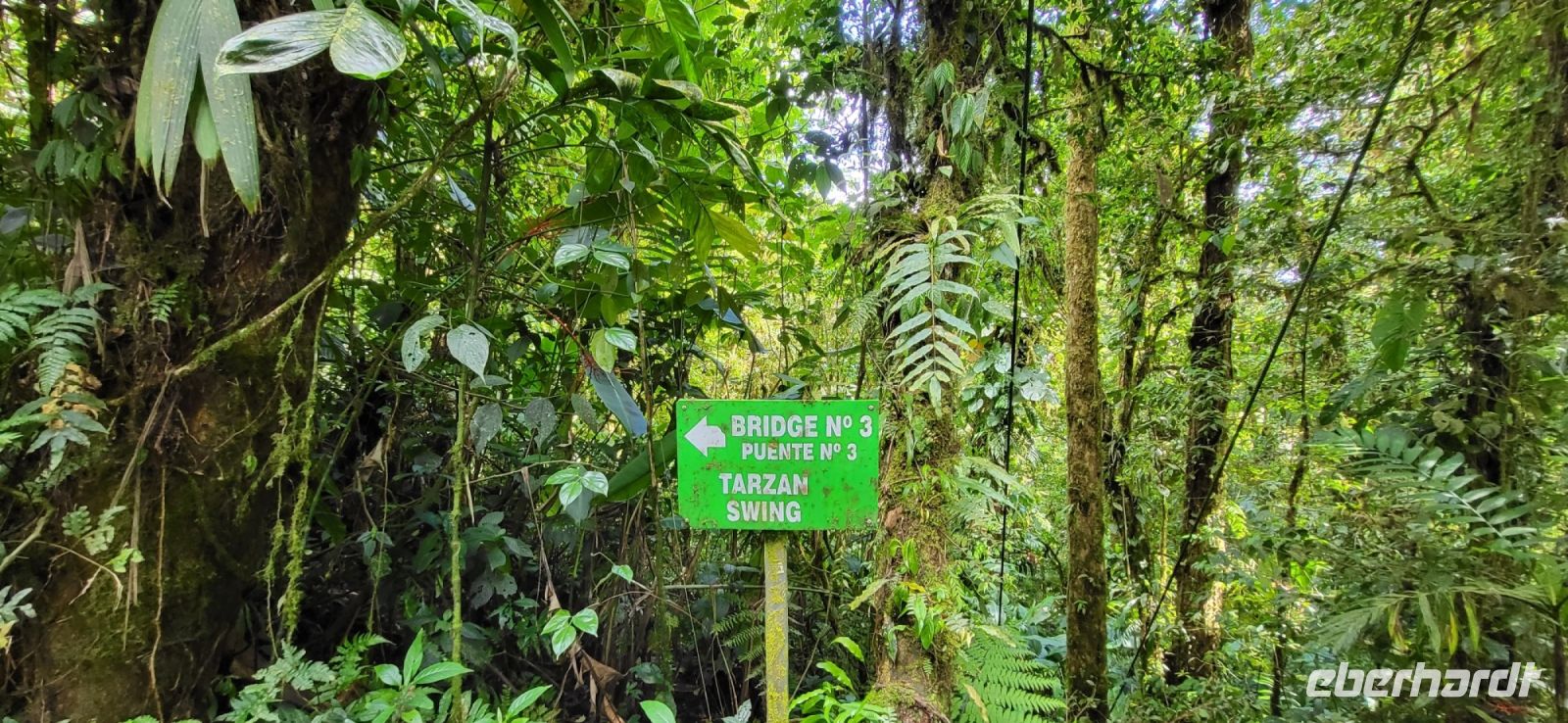 177 Hängebrückenwanderung Monte Verde