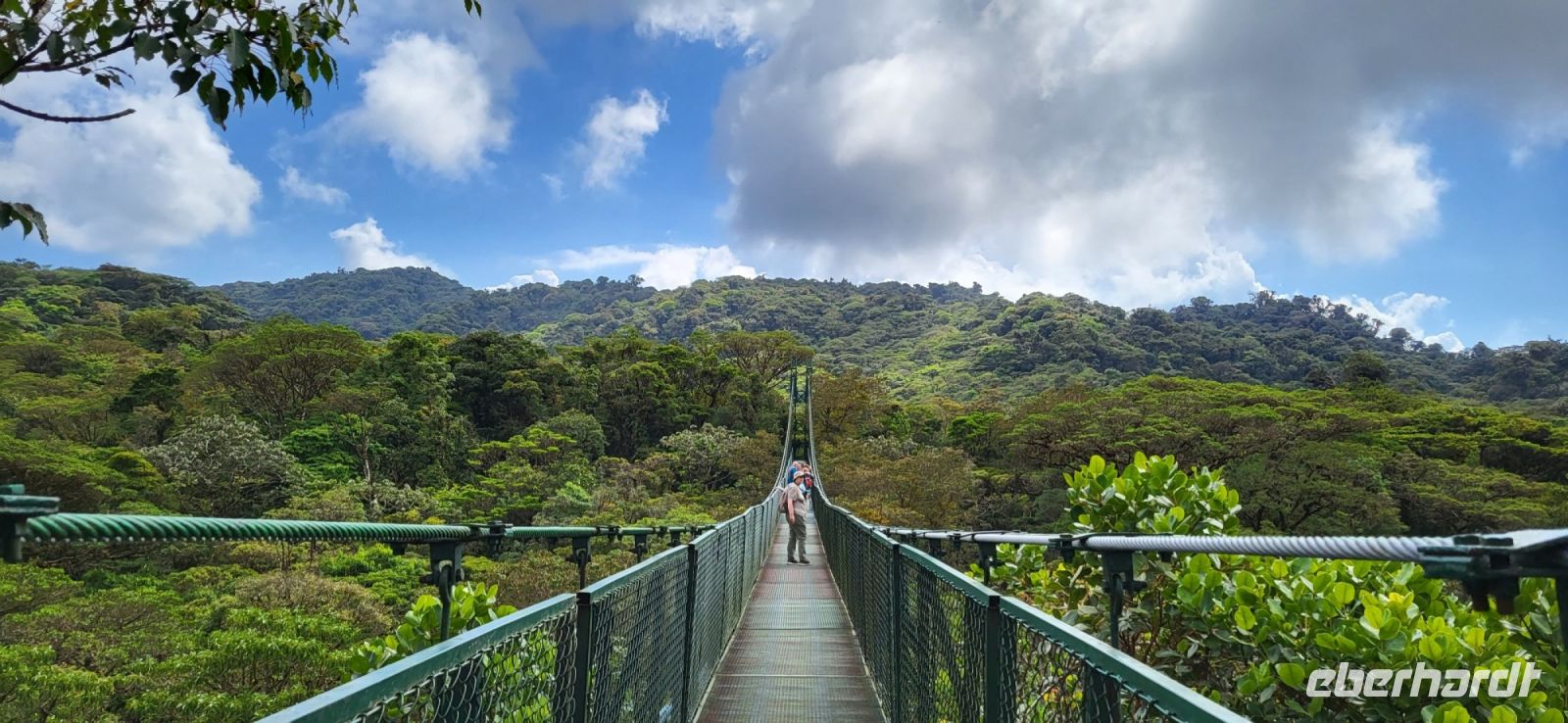 180 Hängebrückenwanderung Monte Verde