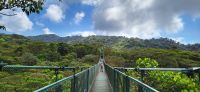 180 Hängebrückenwanderung Monte Verde