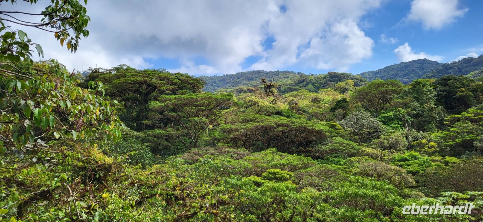 181 Hängebrückenwanderung Monte Verde