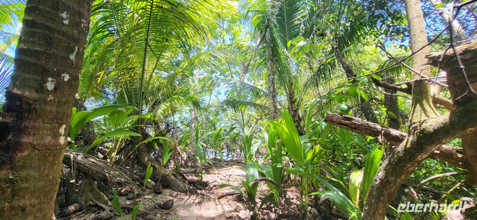 277 Weg durch den Nationalpark