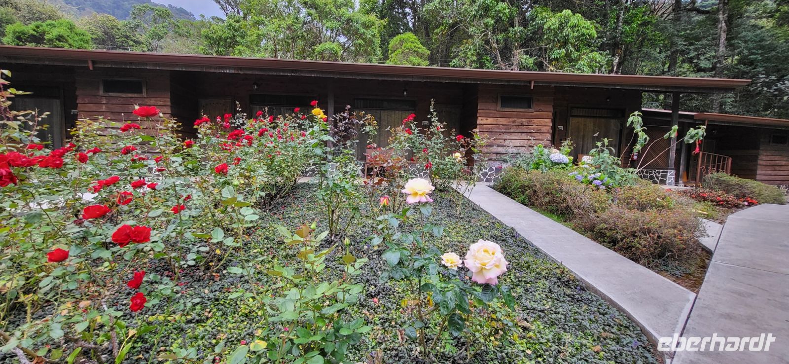 290 Vogelparadies Savegre Lodge