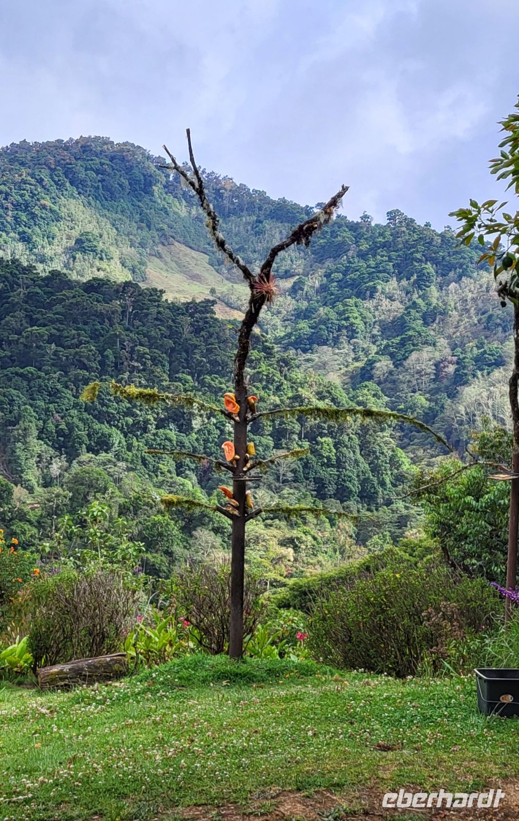 322 Vogelbeobachtung