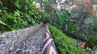213 – Costa Rica, Aguila de Osa Inn