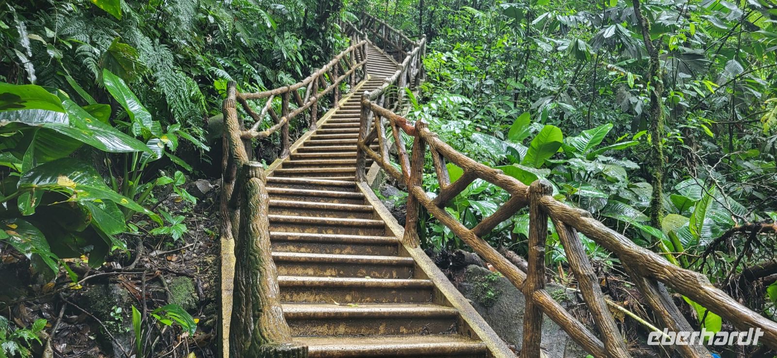 28 530 Stufen, die sich lohnen