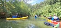 59 Kajak Tour 