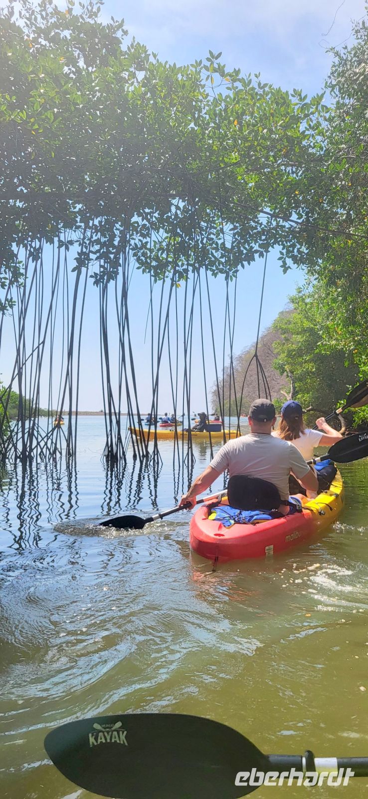 62  Kajak Tour 