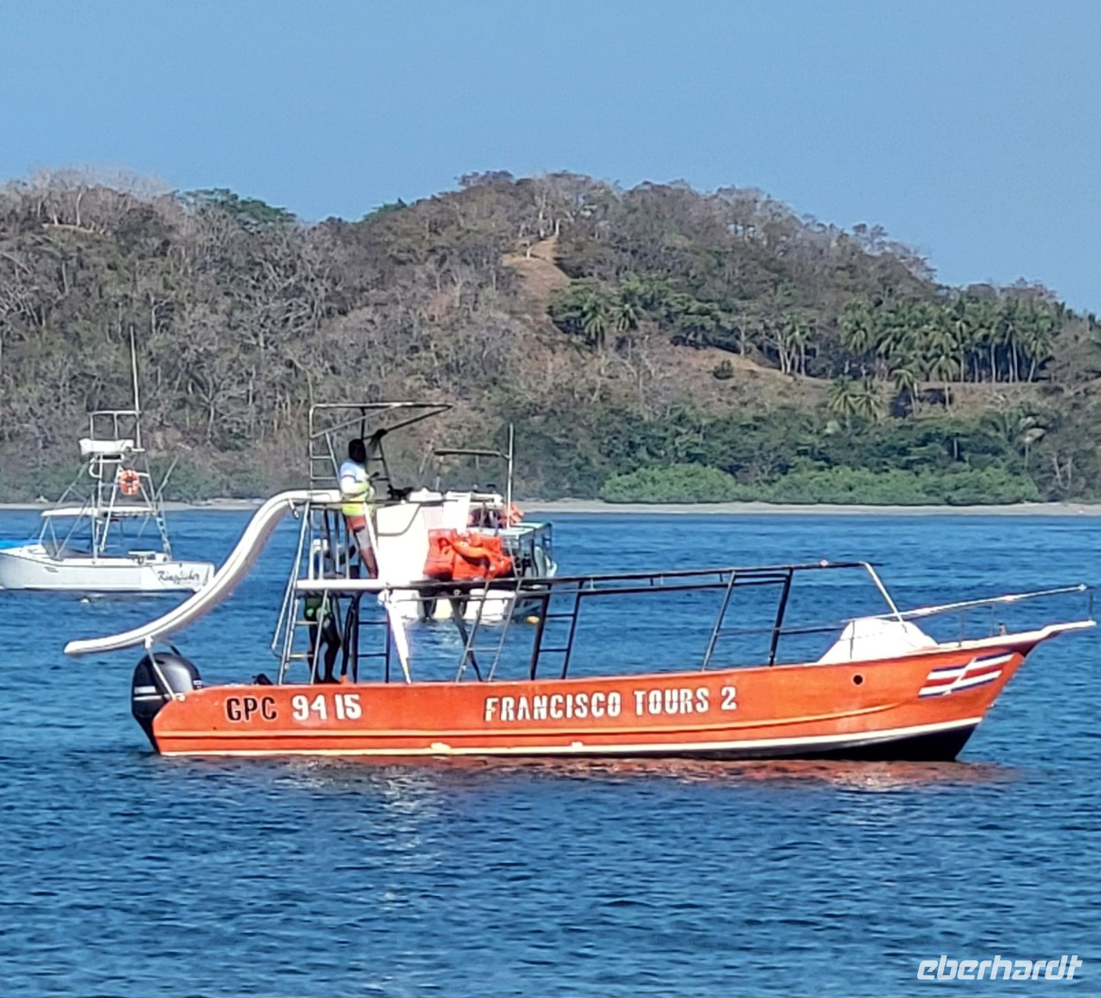 71 Delphintour mit Francisco