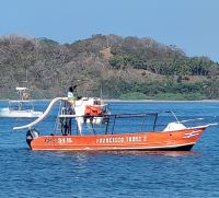 71 Delphintour mit Francisco