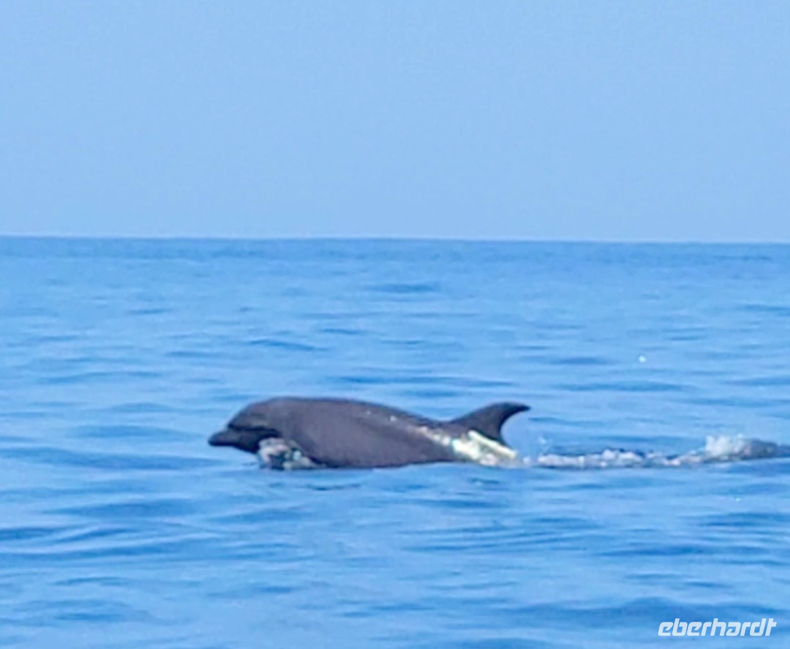 75 endlich gesichtet