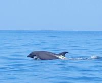 75 endlich gesichtet