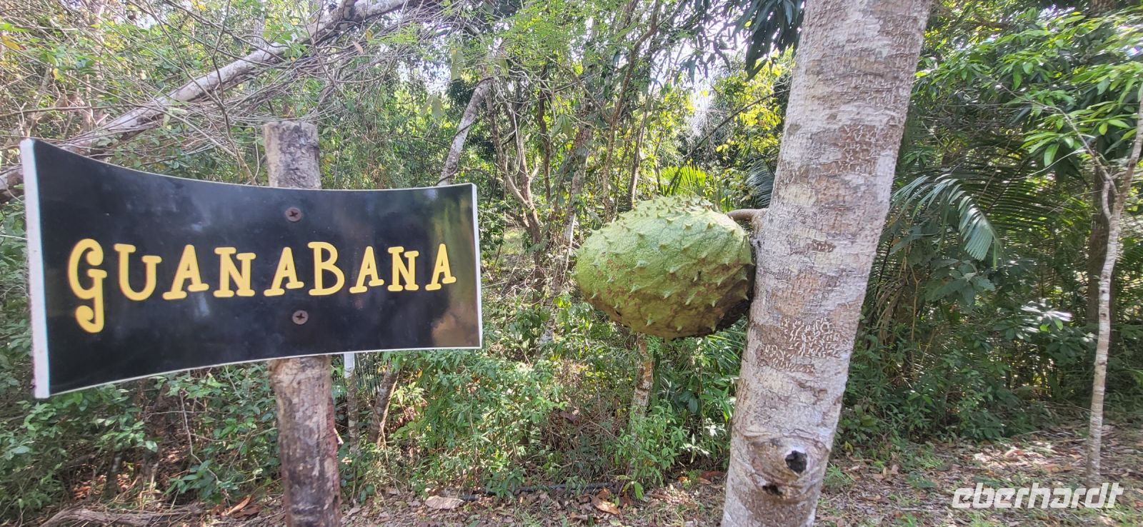 81 Wanderung durch das Werner Sauter Schutzgebiet