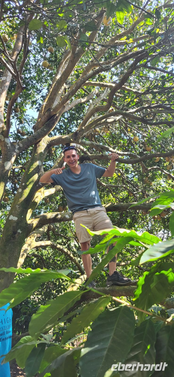 108 Alan führt durch die Anlage