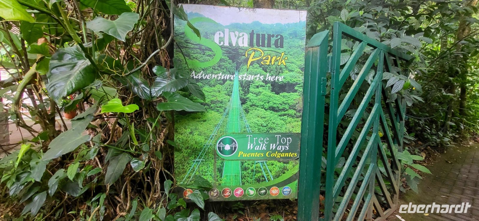 109 Hängebrückentour Monte Verde