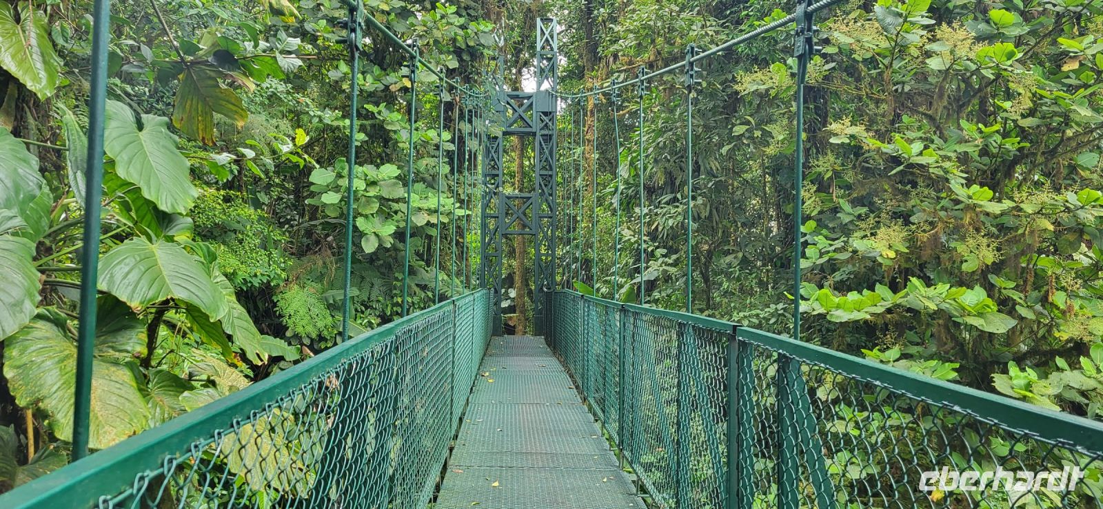 111  8 verschiedene Längen und Tiefen der Brücken