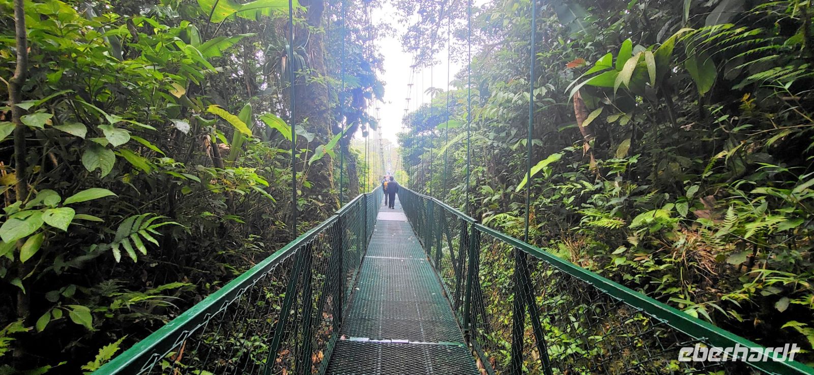 114 Hängebrückentour Monte Verde