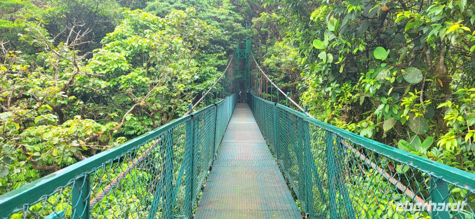 116 Hängebrückentour Monte Verde