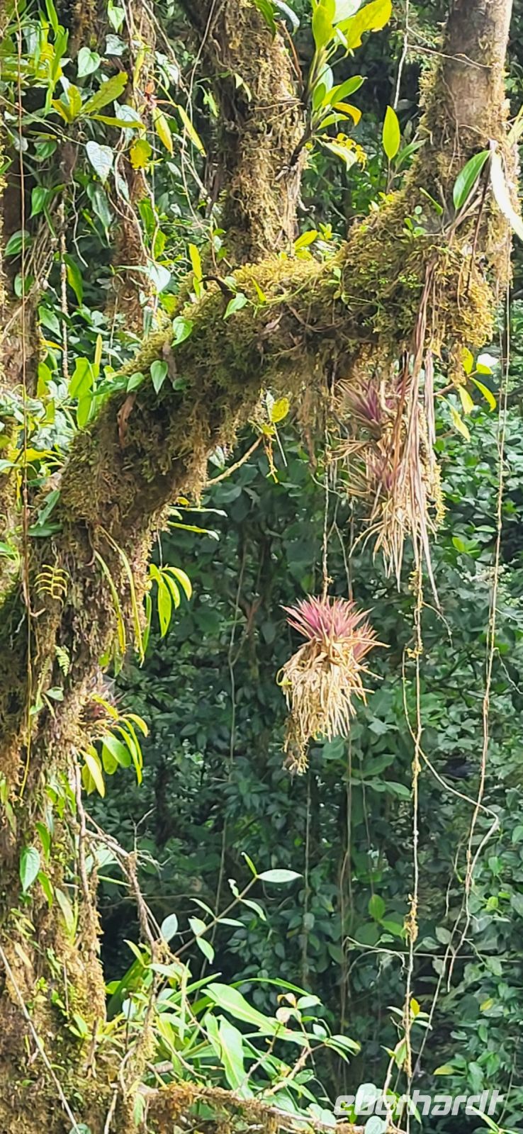 118 große Artenvielfalt