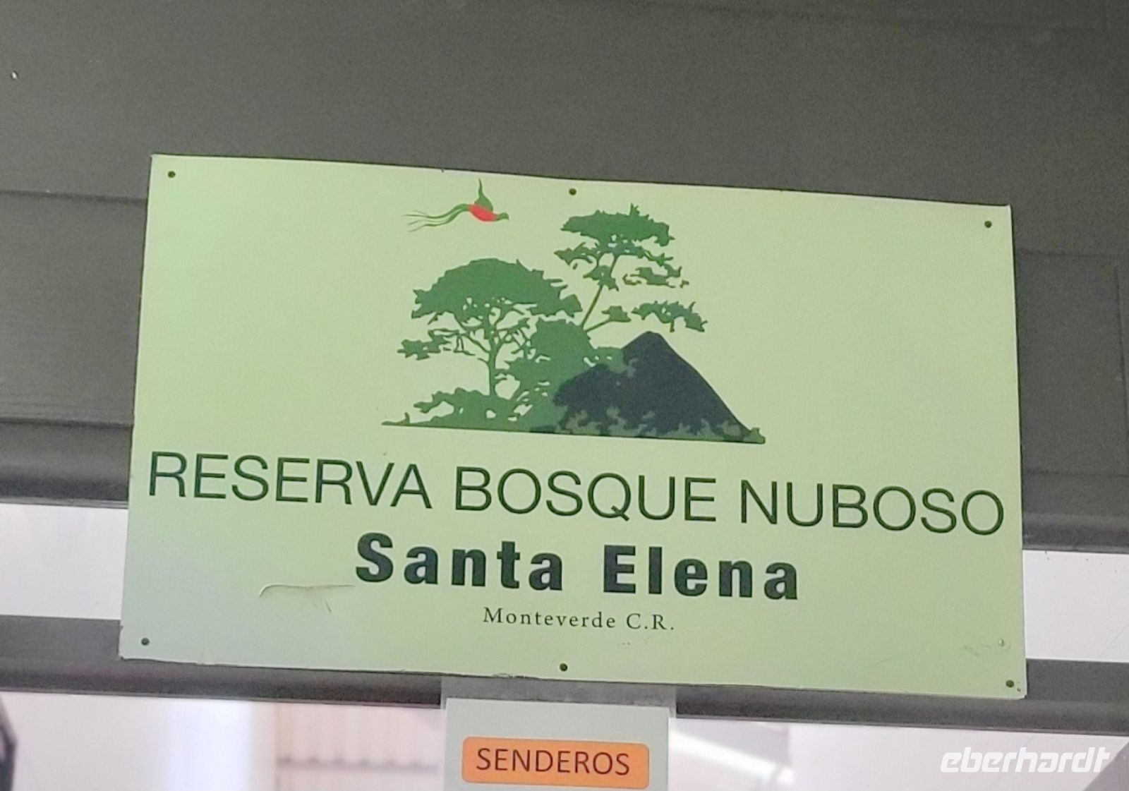 122 Wanderung durch den Nebelwald