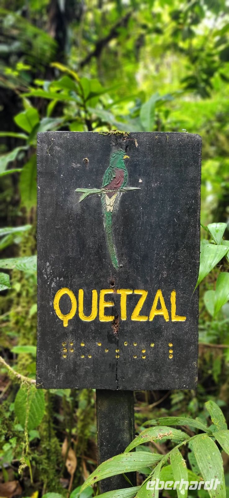 129 der berühmte Quetzal