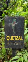 129 der berühmte Quetzal