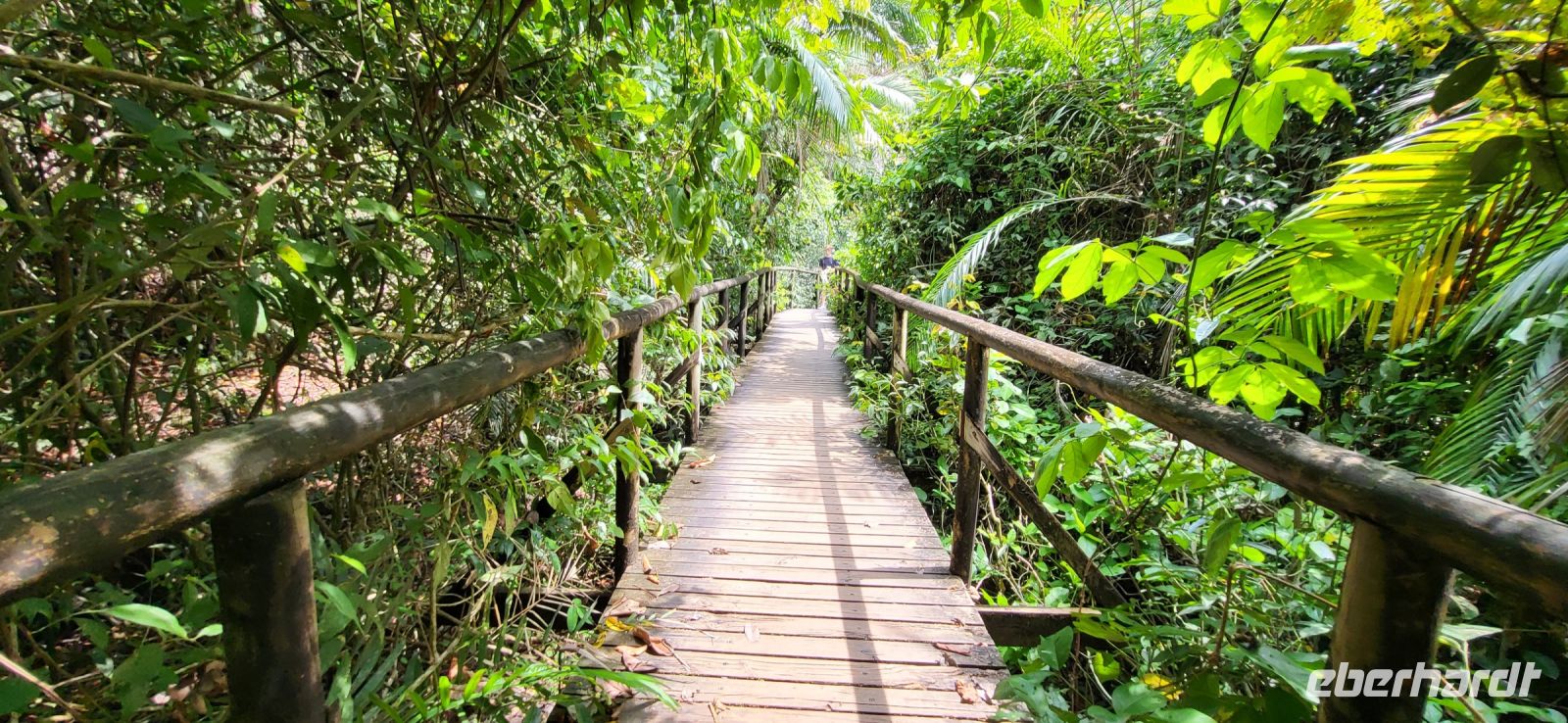 139 Besuch Manuel Antonio Nationalpark