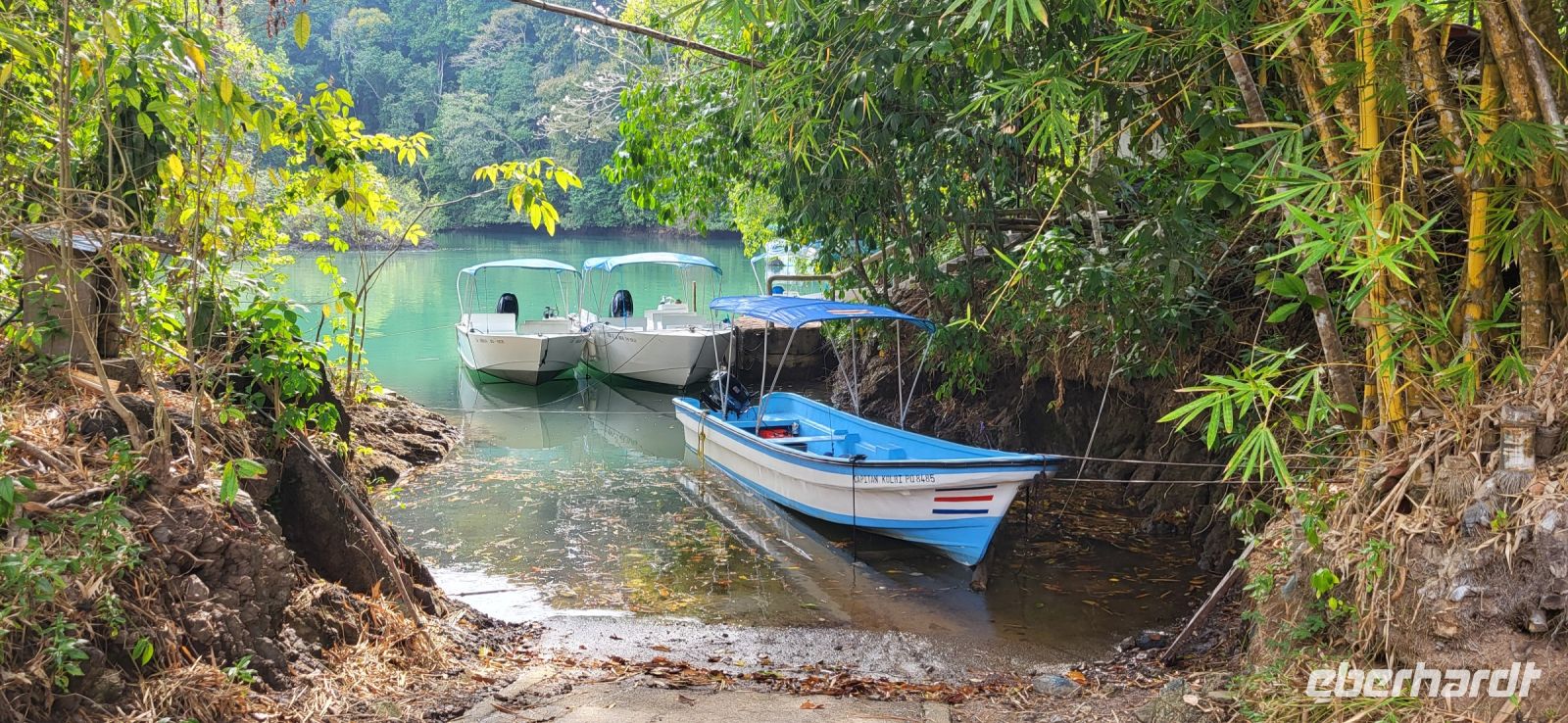 167 Achtung Krokodile