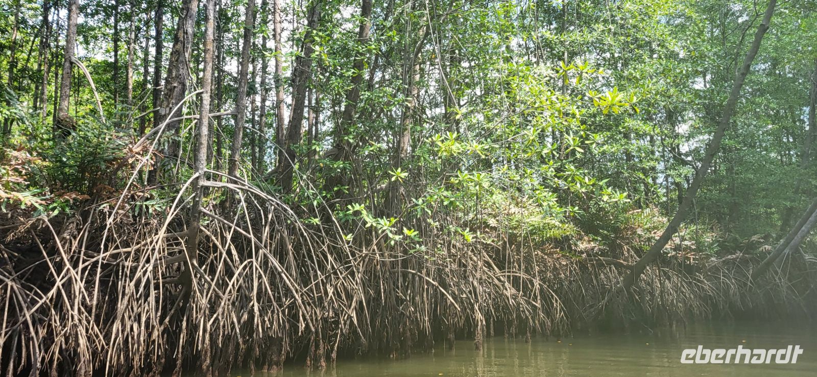 200 Abstecher Richtung Mangroven