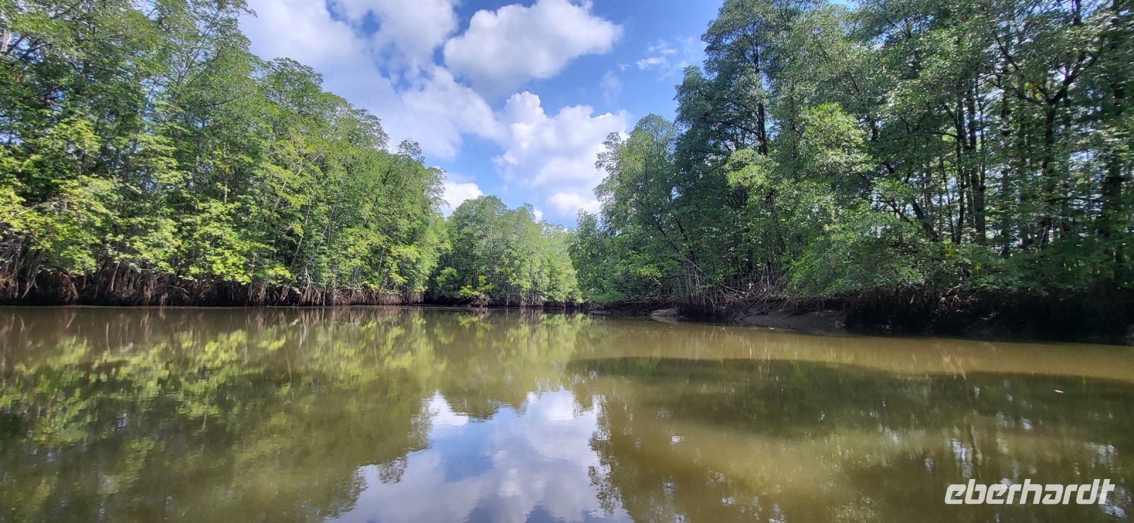 201 herrliche Landschaft