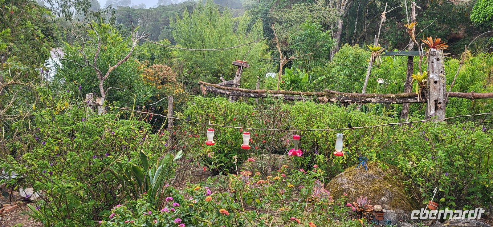 219 Vogelparadies Savegre Tal