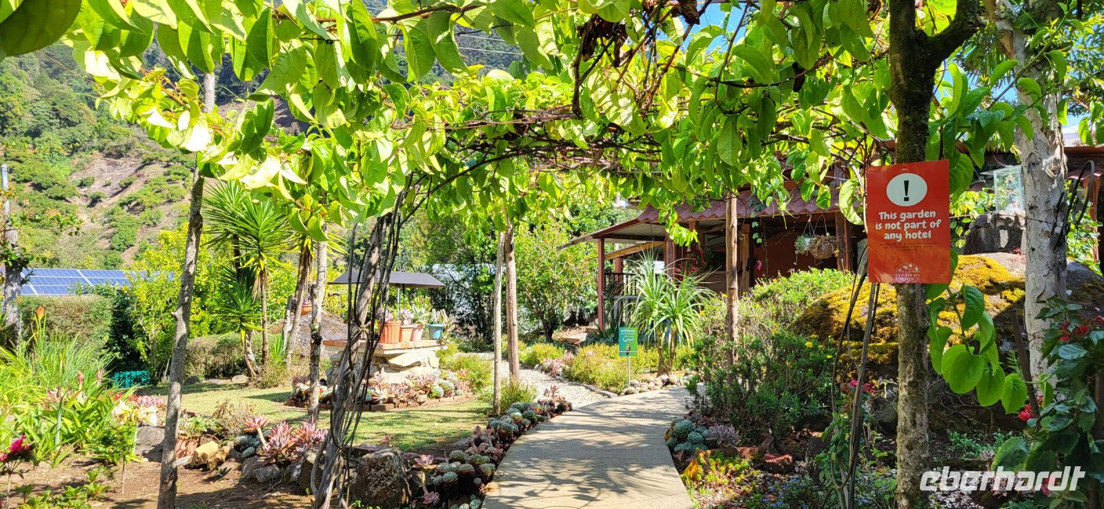 223 Vogelparadies Savegre Tal