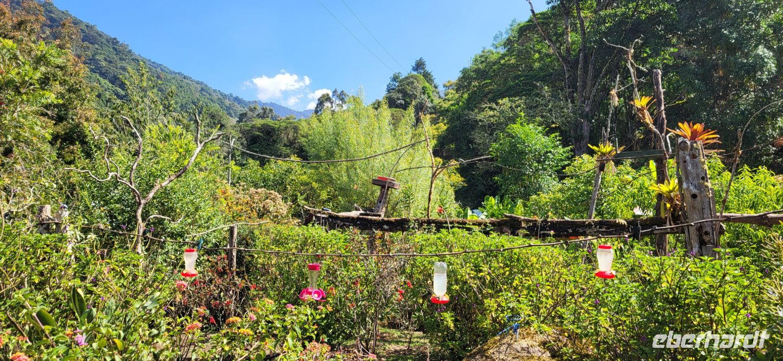 224 Vogelparadies Savegre Tal