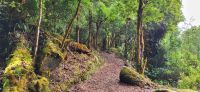 226 Wanderung durch herrliche Natur